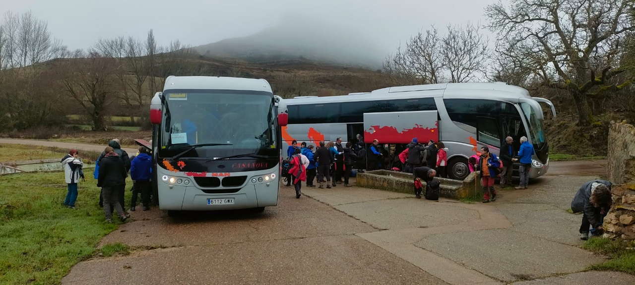 WhatsApp Image 2026-02-10 at 14.47.41